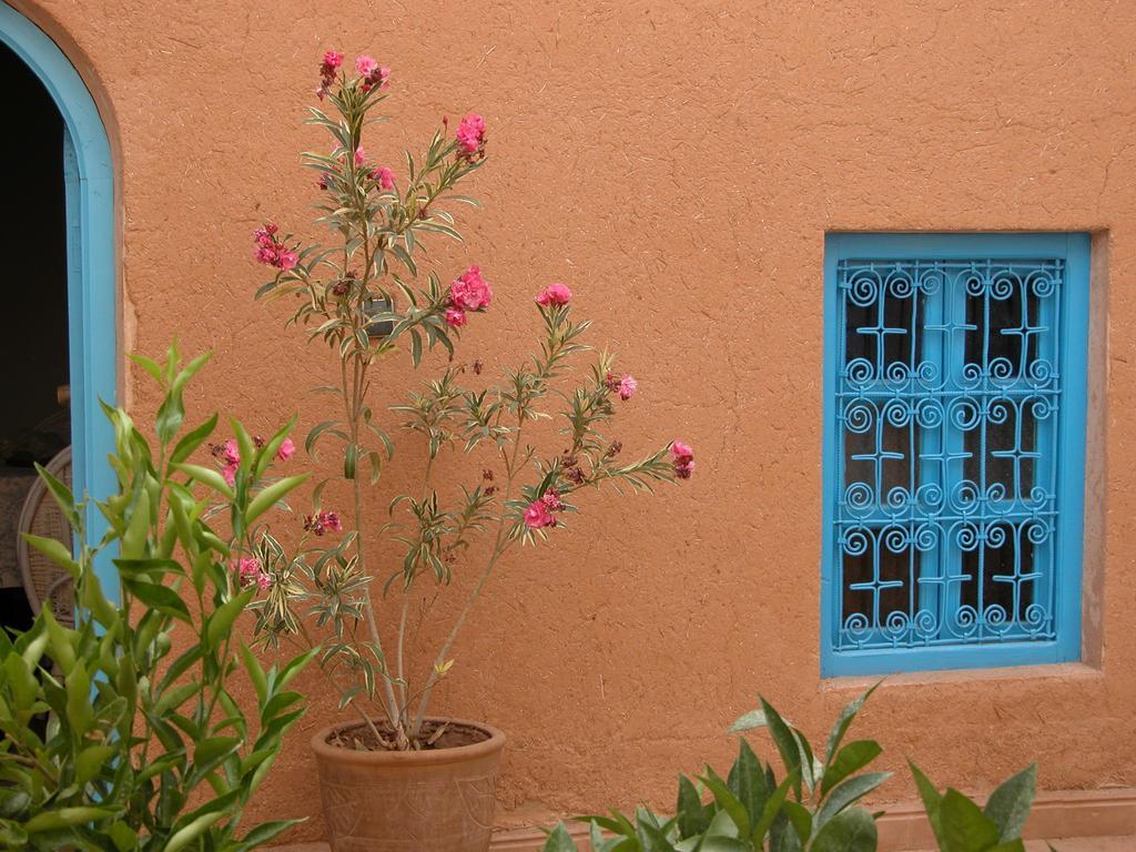 Bed and Breakfast Kasbah Iswan Kelaat-M'Gouna Экстерьер фото